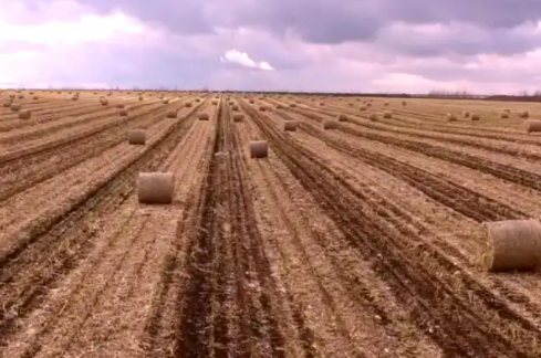 1775724903508927.png f88e4c6d1d98bcd9e8bdd9bc5eaa0df1.png