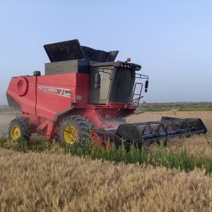 grain harvester