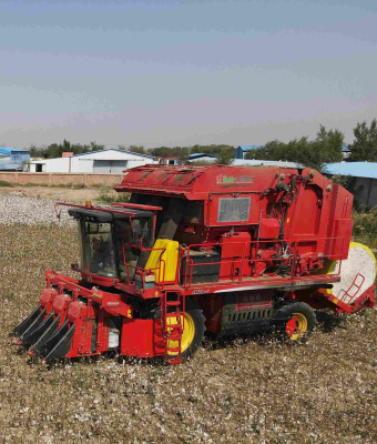 Three-row cotton picker