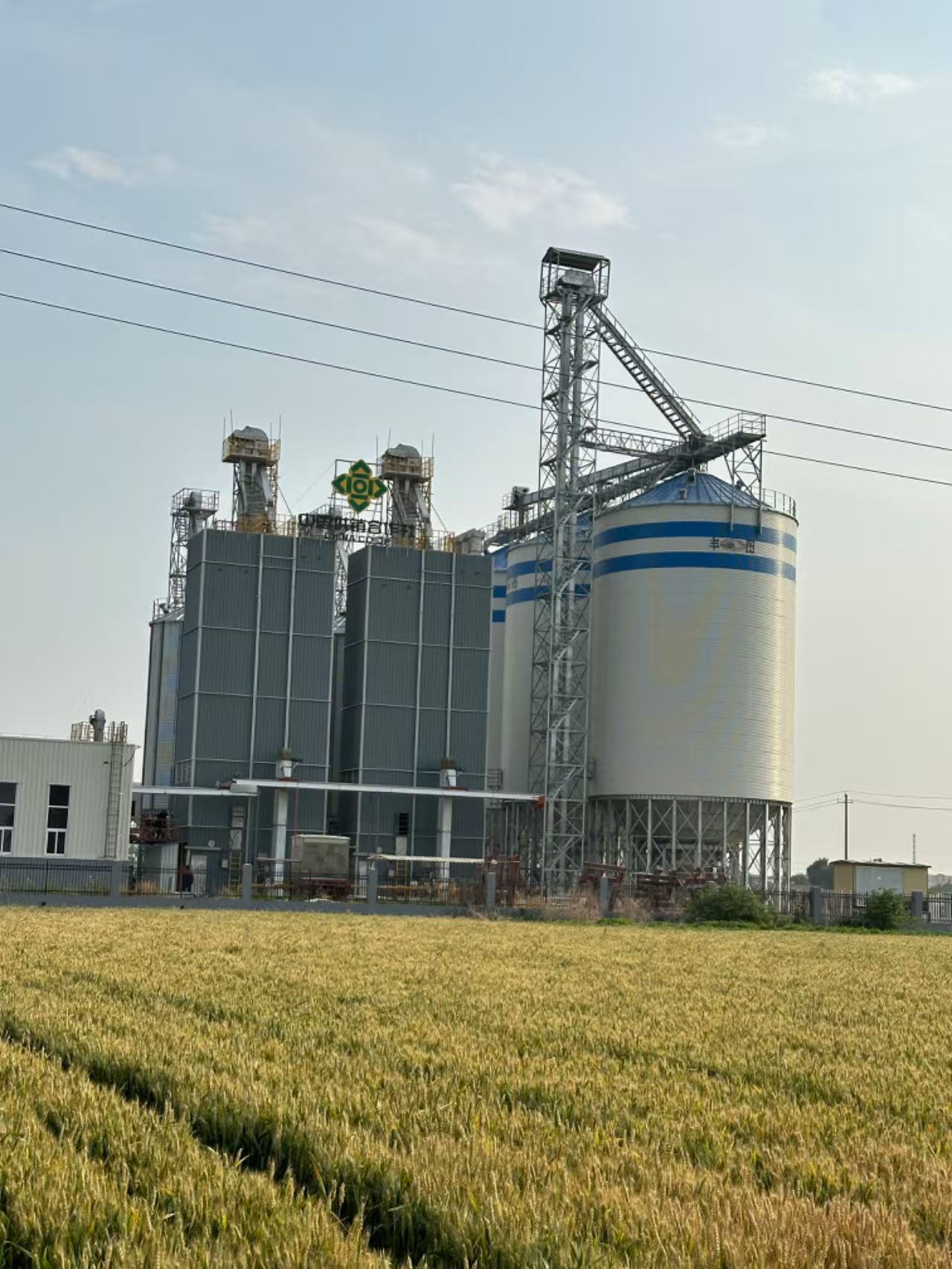 grain drying tower