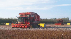 1774492454154050.png 1774492454154050.png