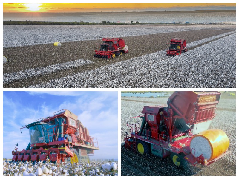 Шестирядный самоходный хлопкоуборочный комбайн с прессованием.jpg