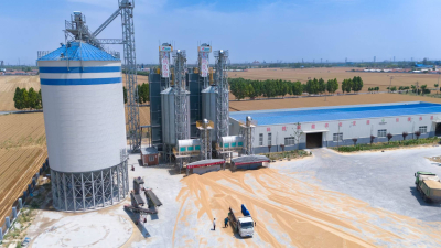 Большая сушильная башня