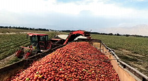 1775798117675111.png 1775798117675111.png