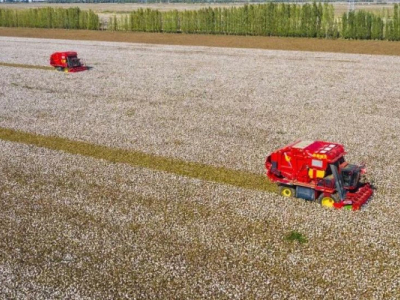 Swan's Three-Thread Intelligent Vision Machine | Smart Cleaner, Quality Guardian