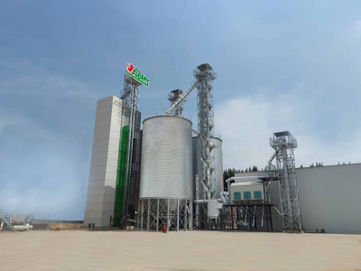 A system for thermal treatment of grain to reduce moisture content