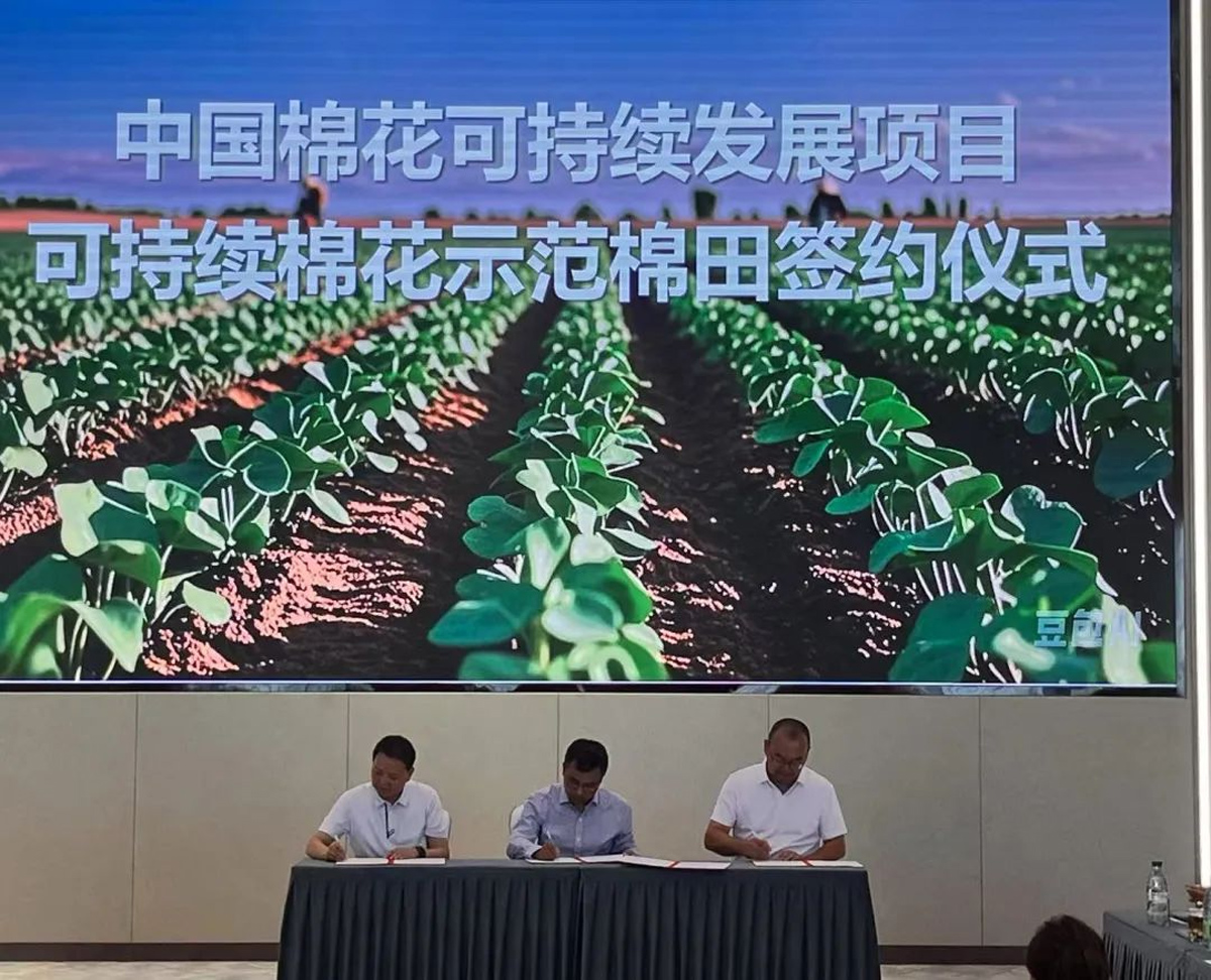 Swan Three Thread Machine with Intelligent Vision | Smart cleaner, quality keeper