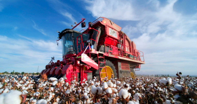 Three-row self-propelled cotton harvester