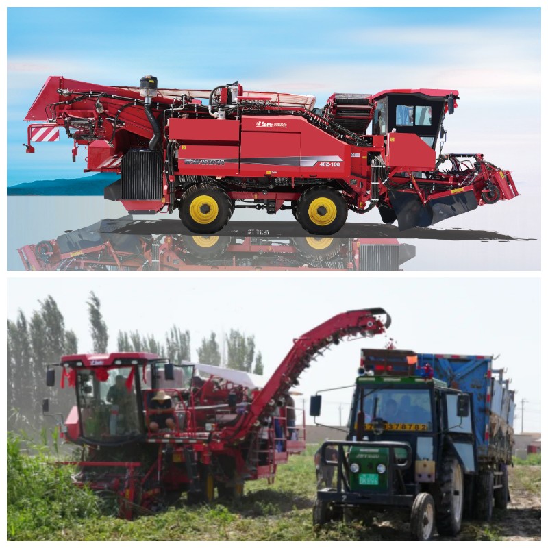 tomato harvester.jpg tomato harvester.jpg