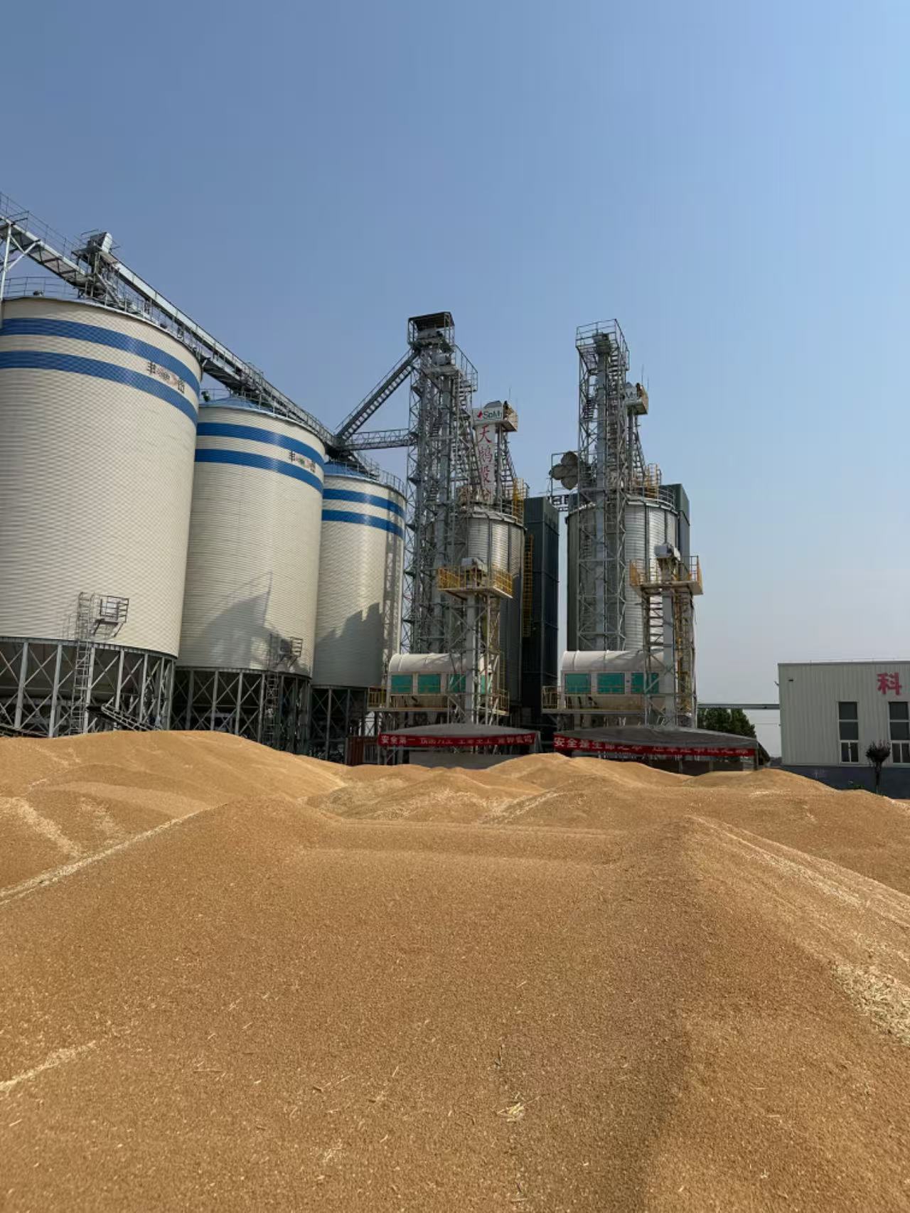 1775892799583650.jpg 1775892799583650.jpg