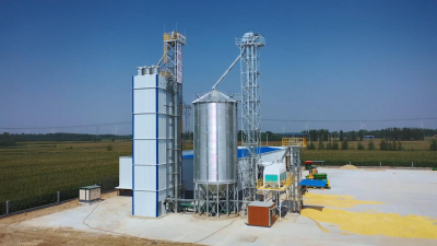 Grain drying system