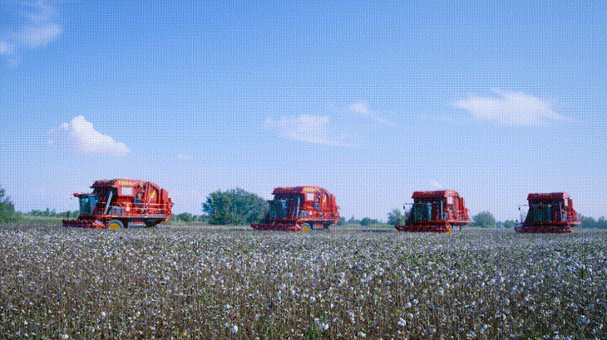 Swan Three Thread Machine with Intelligent Vision | Smart cleaner, quality keeper