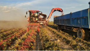 1775798054422379.png 1775798054422379.png