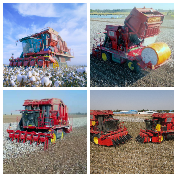 Шестирядный хлопкоуборщик.jpg