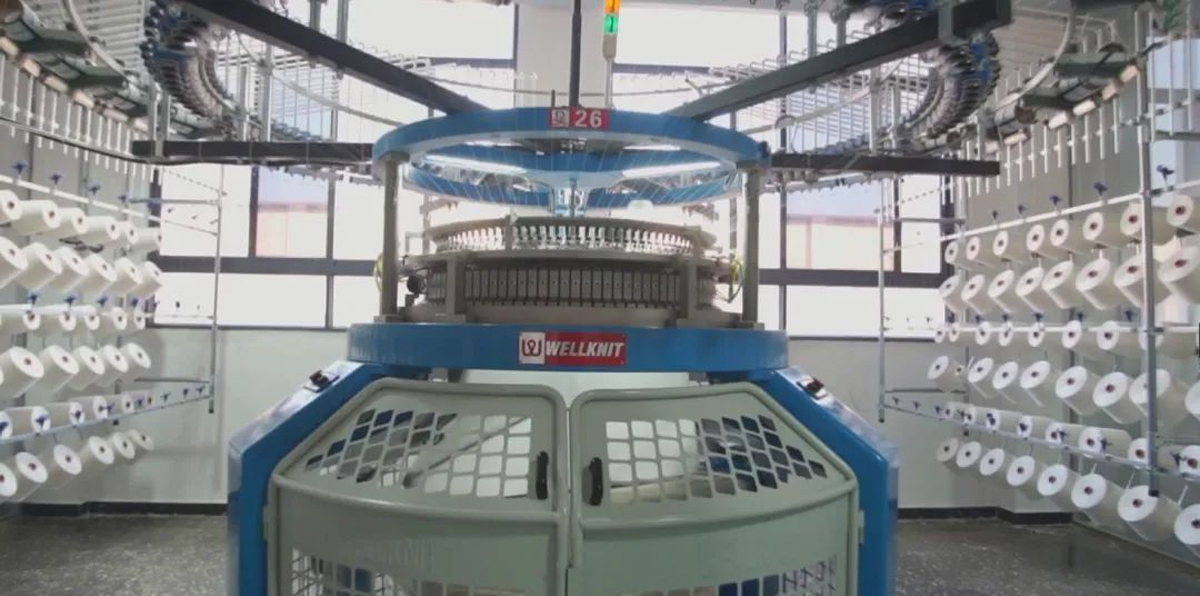 Swan Three Thread Machine with Intelligent Vision | Smart cleaner, quality keeper