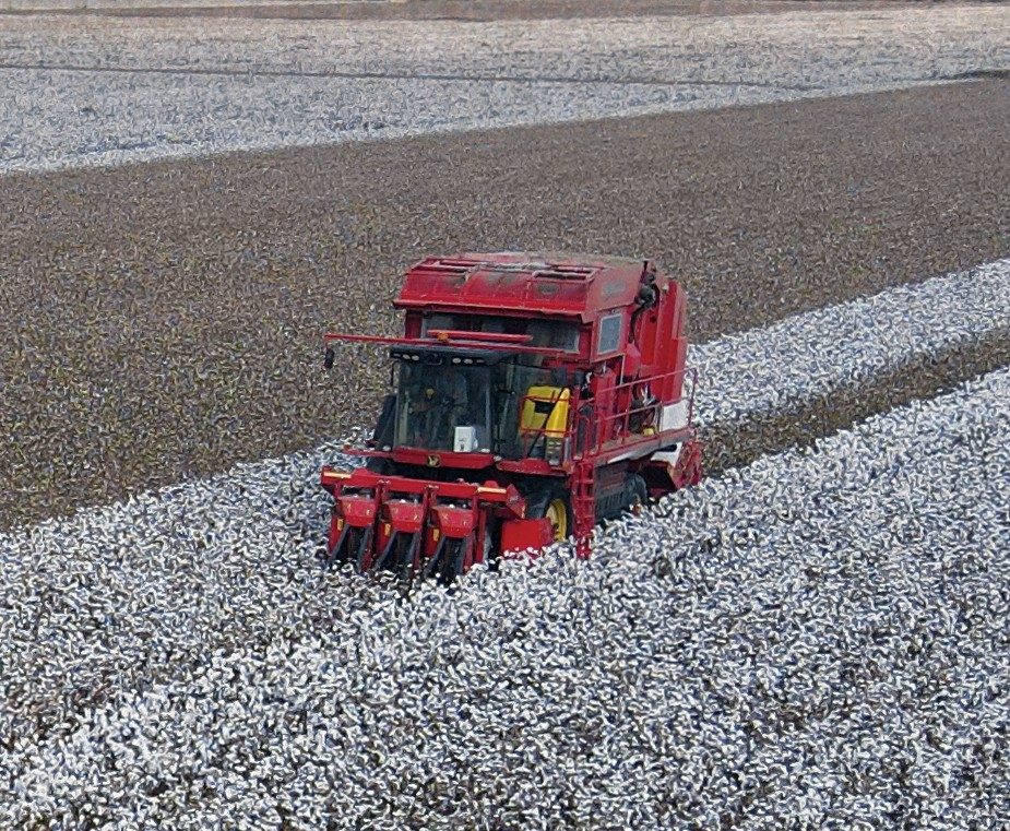 Трехрядный хлопкоуборочный комбайн с прессованием