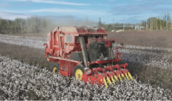 1774339805501599.png image.png