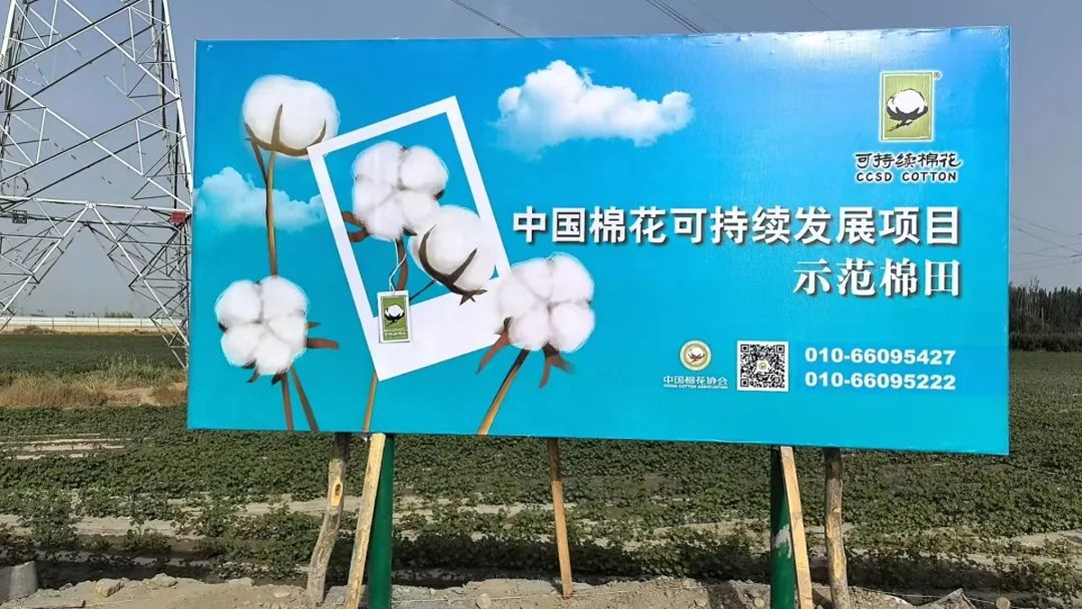 Swan Three Thread Machine with Intelligent Vision | Smart cleaner, quality keeper